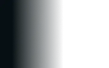 left_small_dim_overlay